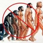 Razones científicas por las que la evolución Darwiniana no es verdad